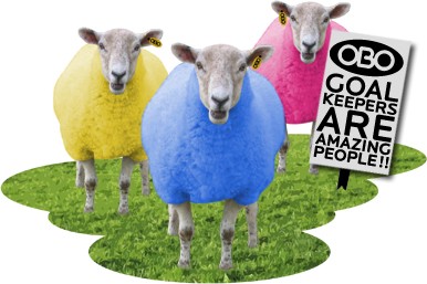 obo sheep
